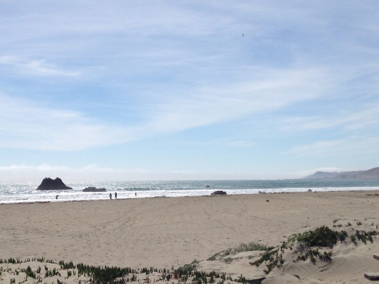 7-aspekte-achtsamkeit-geist-des-anfängers