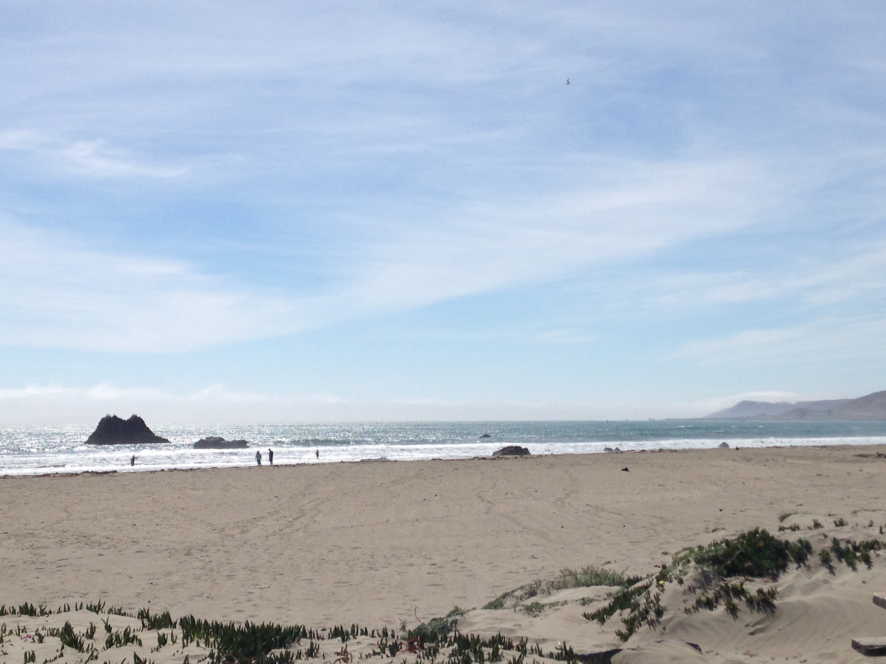 7-aspekte-achtsamkeit-geist-des-anfängers