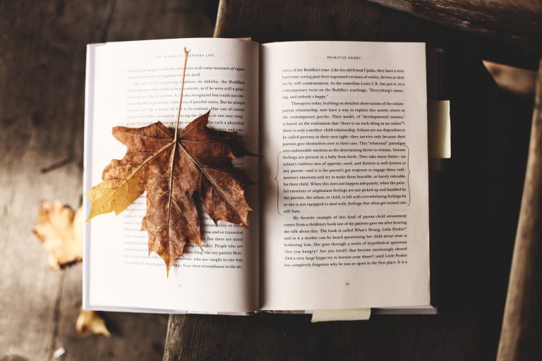 buchtipps-für-die-herbstzeit