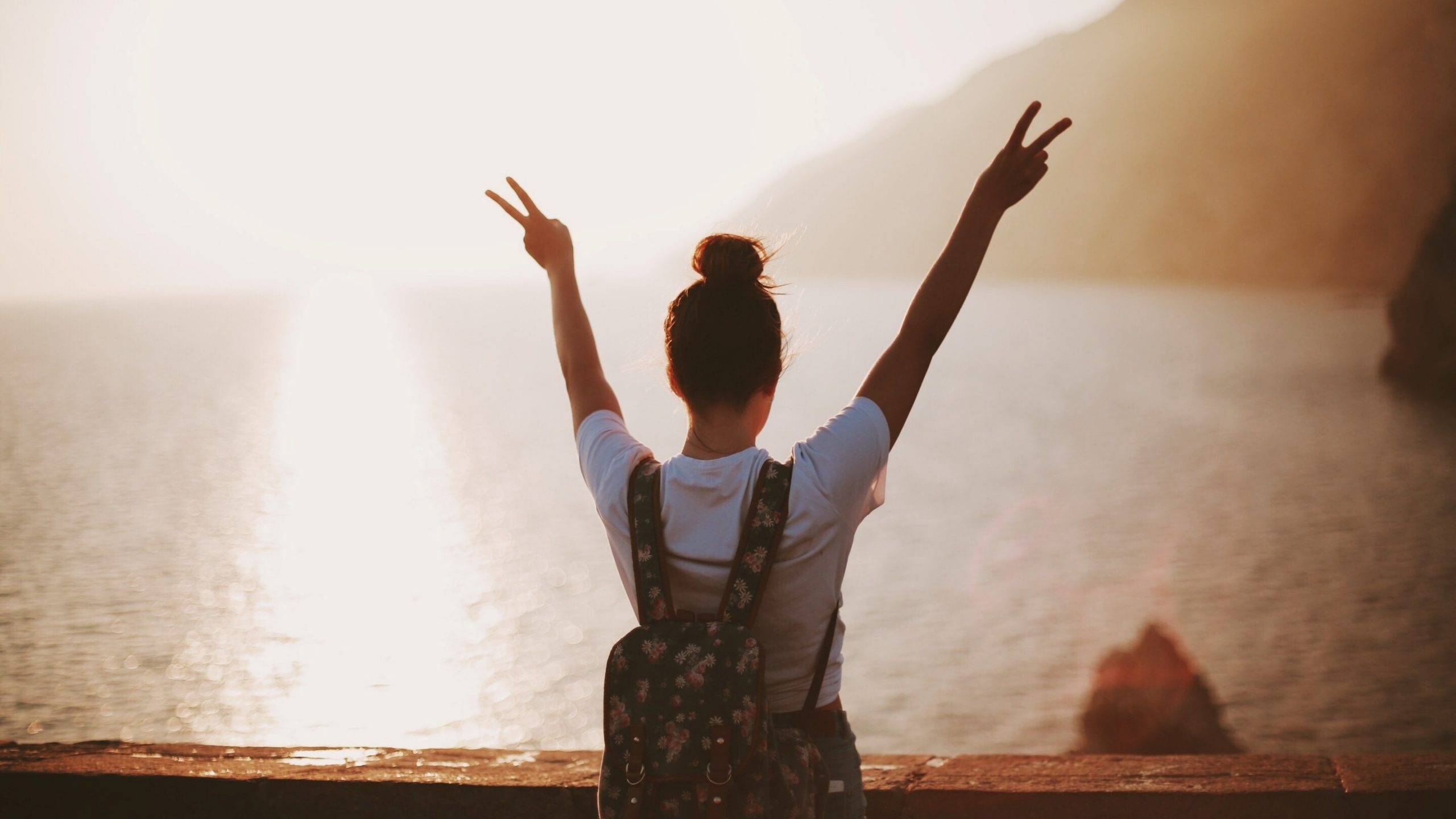 Lebensrad-Coaching-Übung