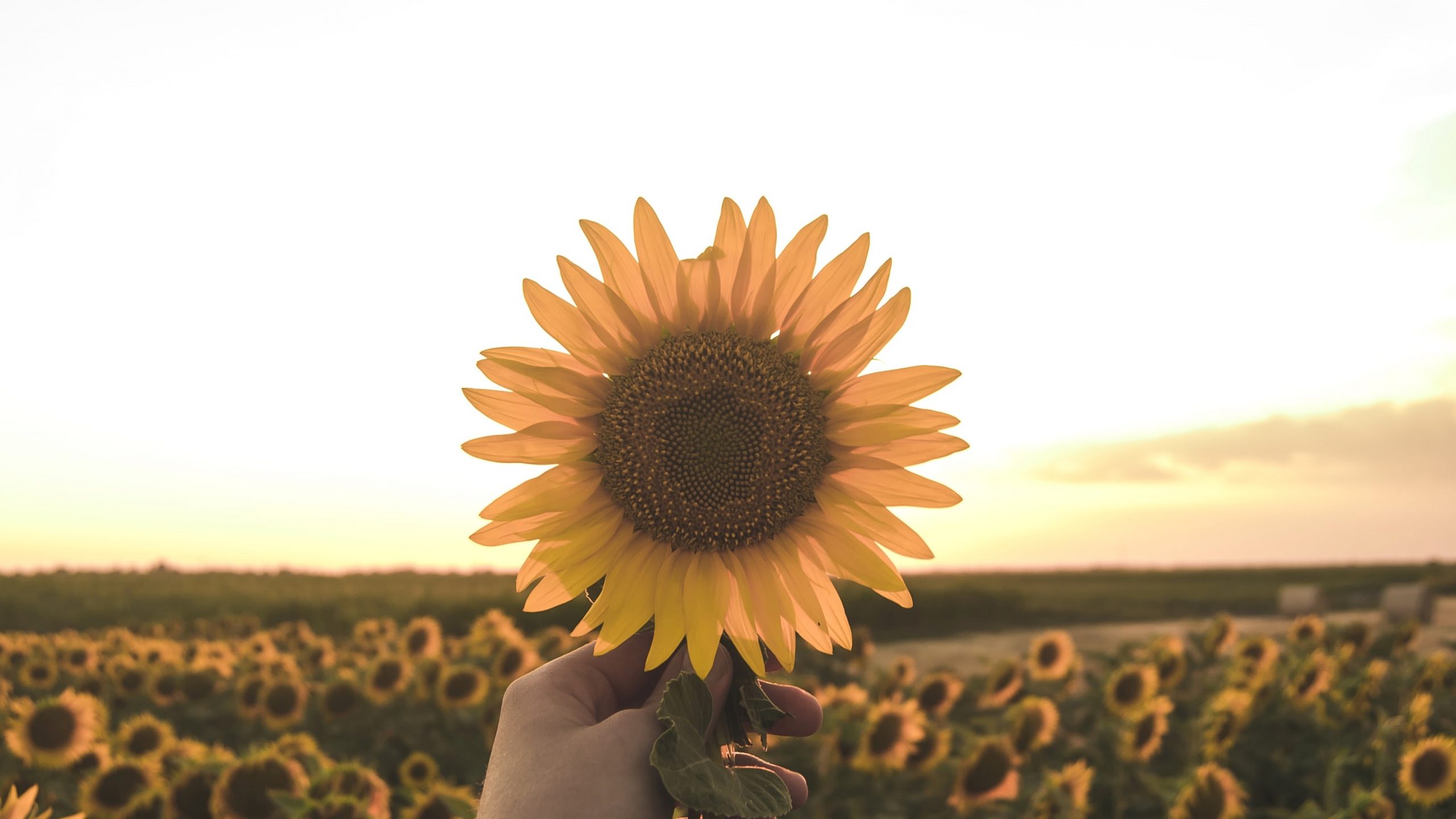 Achtsamkeitsübung-mehr-Mitgefühl