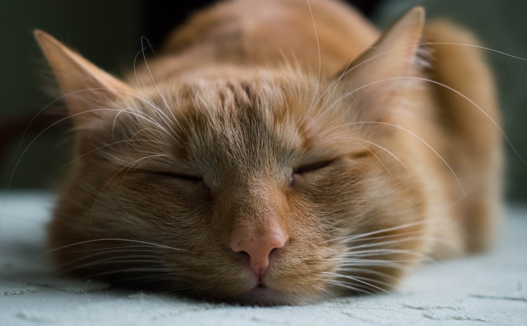 Entspannungsübung-PMR-Blogbeitrag