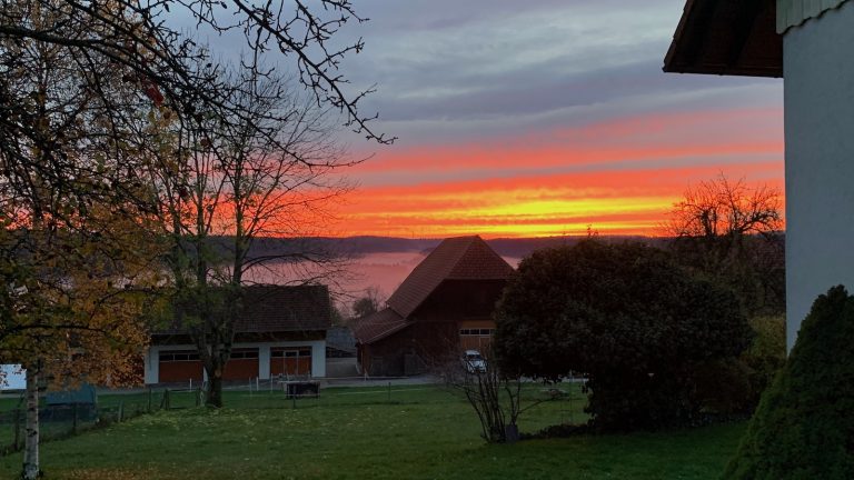 12 von 12 im November 2022 – ein Samstag im November