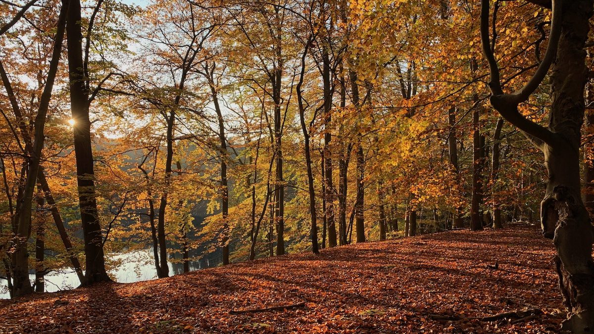 Blogbeitrag-Monatsrückblick-Oktober-2022