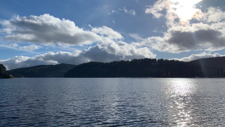 Monatsrückblick November 2022 – Yoga-Retreats planen und beim Aerial Yoga loslassen