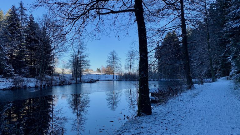 12 von 12 im Dezember 2022 – Winter Wonderland