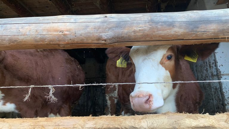 12 von 12 im März 2023 – Gemütlichkeit, Natur pur und tolle Gespräche
