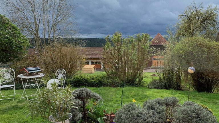 12 von 12 im April 2023 – olé Erkältung, olé Aprilwetter