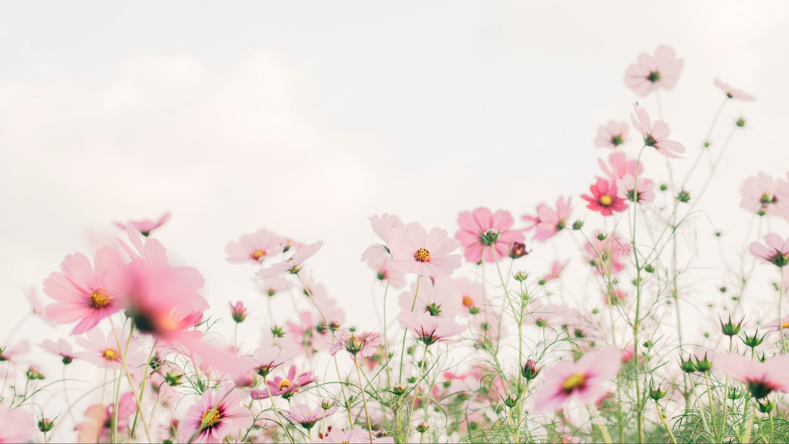 Yoga-Routine-Frühling