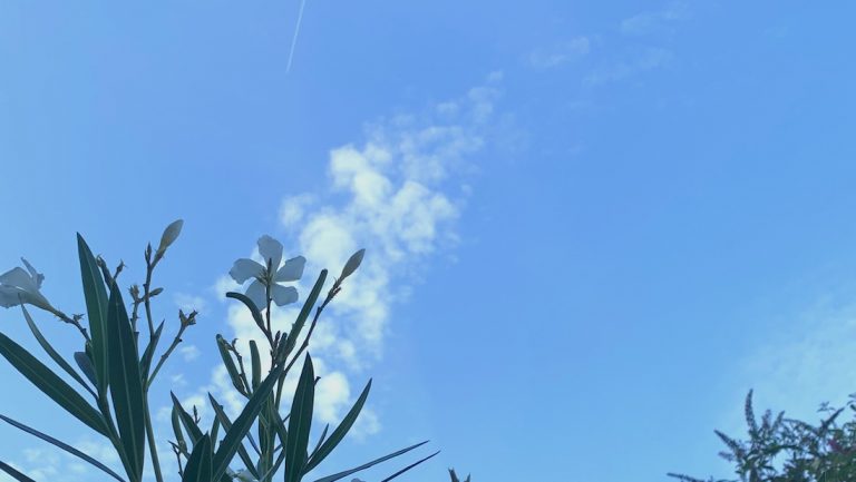 12 von 12 im September 2023 – Schreibtischtag 