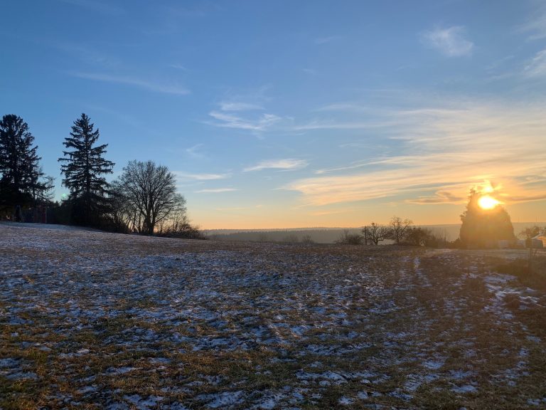 12 von 12 im Januar 2024 – sonniger Wintertag