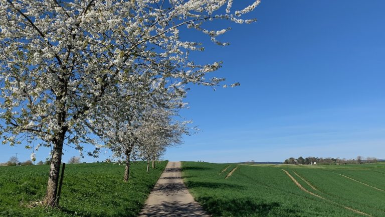 12 von 12 im April 2024 – Frühlings Vibes vs. Jetlag