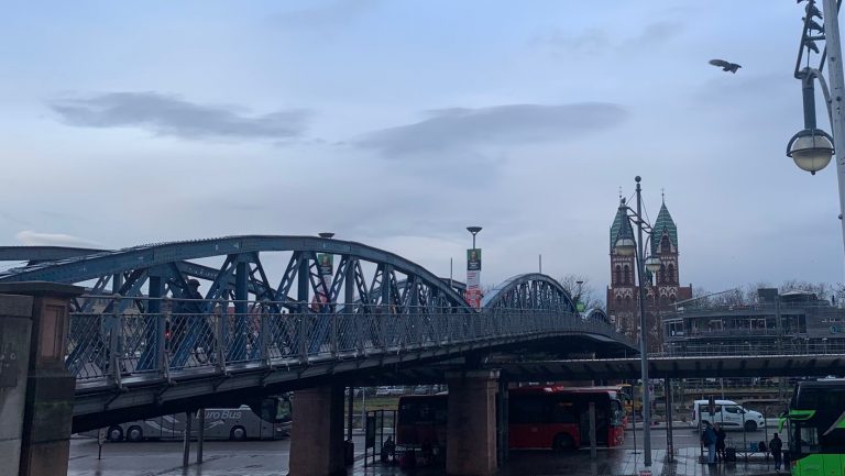 12 von 12 im Februar 2025 – Workshop Tag in Freiburg