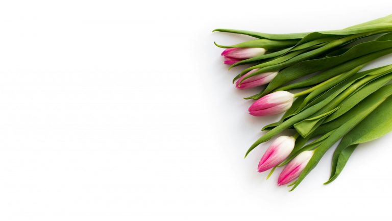 Ayurveda Tipps für den Frühling für Energie und Aktivierung