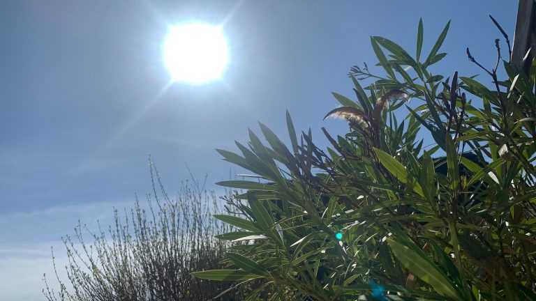 12 von 12 im April 2025 – Happy Sunshine mit Erkältung