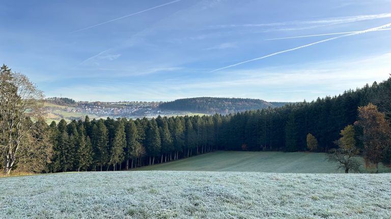 12 von 12 im November 2025 – Back home